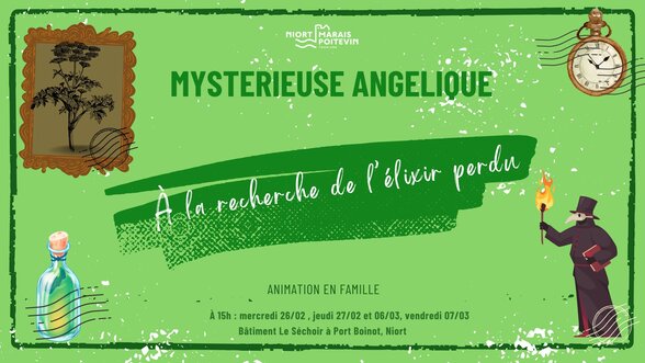  - Agrandir l'image, fenêtre modale