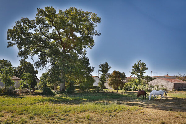 Mairie de Prin-Deyrançon