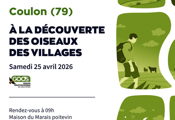 Affiche de la balade ornithologique du 25 avril à Coulon, organisée par le Parc du Marais poitevin et le GODS, RDV Maison du Marais - Agrandir l'image, fenêtre modale