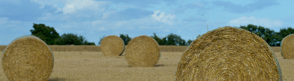 Ballots de foin, après la moisson, à Epannes