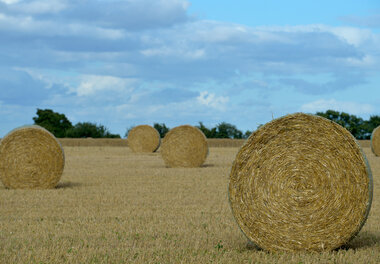 Ballots de foin, après la moisson, à Epannes