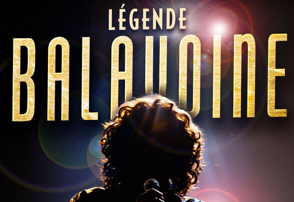 Affiche du spectacle : 14 mars 2027 à L'Acclameur de Niort, silhouette d'un interprète tenant un micro sous les projecteurs - Agrandir l'image, fenêtre modale