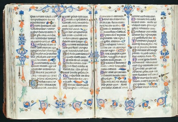  - Agrandir l'image, fenêtre modale