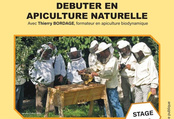 Affiche : participants en combinaisons apicoles autour d'une ruche au Rucher pédagogique de Coulon – adhésion 12 € - Agrandir l'image, fenêtre modale