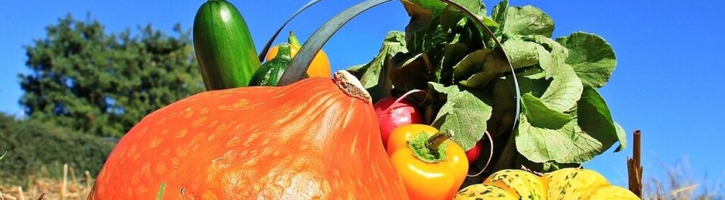 Marchés et producteurs locaux