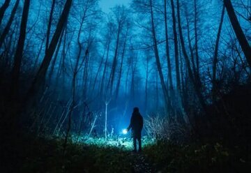 Silhouette tenant une lanterne dans une forêt nocturne brumeuse aux tons bleutés, atmosphère mystérieuse - Agrandir l'image, fenêtre modale