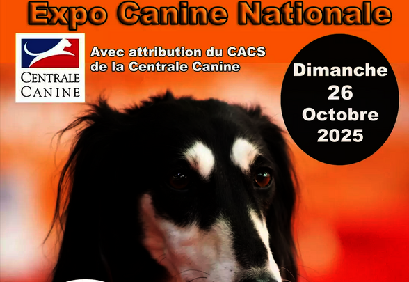 Affiche officielle : Expo Canine Nationale, dimanche 26 octobre 2025, Parc des Expos de Niort-Noron - Agrandir l'image, fenêtre modale