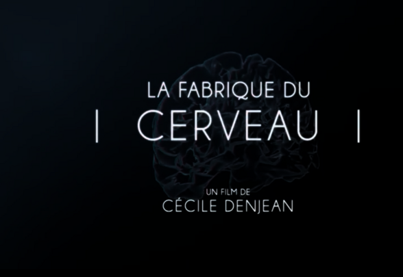 Affiche du documentaire : modélisation numérique 3D d'un cerveau humain sur fond bleu nuit - Agrandir l'image, fenêtre modale