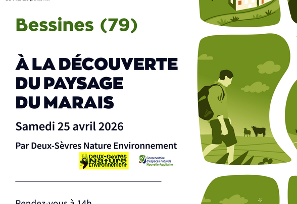 Affiche du Parc naturel régional du Marais poitevin pour la balade à Bessines, illustrée de scènes de randonneurs et de paysages de marais. - Agrandir l'image, fenêtre modale
