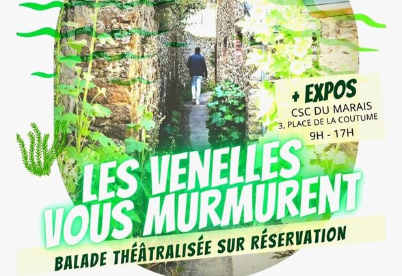 Affiche de l'événement illustrant une venelle en pierre végétalisée de Coulon avec la silhouette d'un promeneur - Agrandir l'image, fenêtre modale