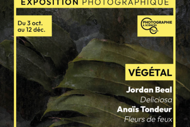 Exposition photographique de La Villa Pérochon à Niort