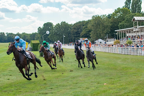 Plusieurs jockeys en tenues colorées disputant une course sur la piste gazonnée, tribunes garnies de spectateurs en arrière-plan - Agrandir l'image, fenêtre modale