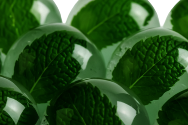 Atelier nature. Mes boissons fraîches à base de plantes