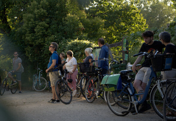Participants avec leurs vélos regroupés devant un panneau dans un espace vert arboré, en lumière estivale de fin de journée - Agrandir l'image, fenêtre modale