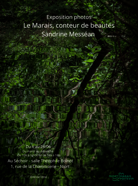 Affiche : du 6 au 28 juin, mardi au dimanche 10h-12h30 et 14h-18h, Au Séchoir salle Théophile Boinot, 1 rue de la Chamoiserie, Niort, entrée libre - Agrandir l'image, fenêtre modale
