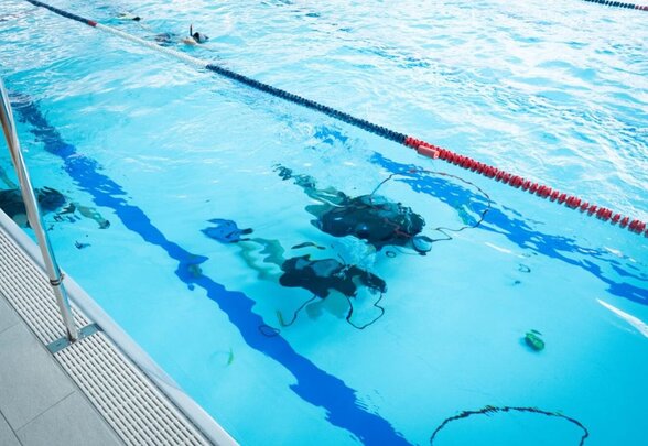 Apnéistes en combinaison sous l'eau dans une piscine en couloir, vus depuis le bord du bassin - Agrandir l'image, fenêtre modale