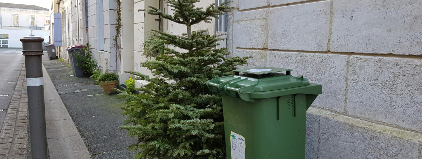 La collecte des sapins de Noël