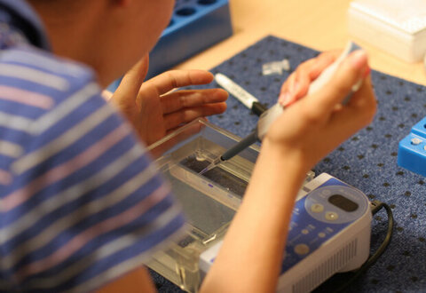 illustration de la manifestation 