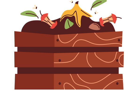 Bac à compost en bois contenant épluchures de banane, champignons et déchets alimentaires avec des vers - Agrandir l'image, fenêtre modale