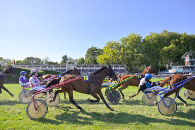 Hippisme : réunion de trot à l'hippodrome de Romagné