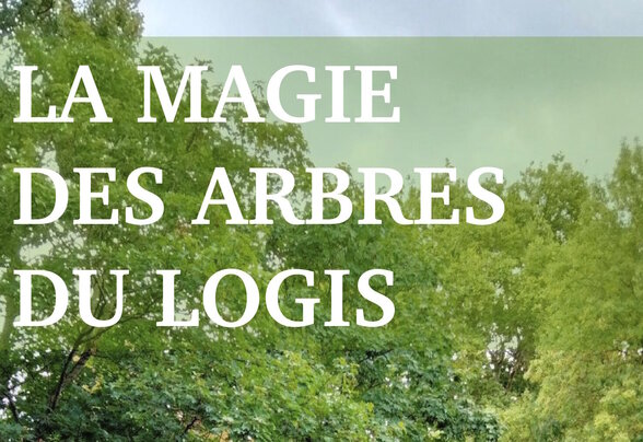 - Agrandir l'image, fenêtre modale