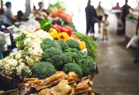  - Agrandir l'image, fenêtre modale