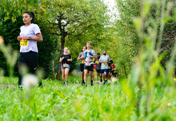 Plusieurs coureurs portant des dossards numérotés progressent en groupe sur un chemin herbeux bordé d'arbres - Agrandir l'image, fenêtre modale