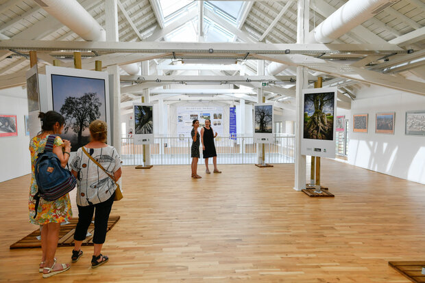 Intérieur lumineux avec parquet clair, panneaux photographiques sur chevalets et visiteurs contemplant l'exposition