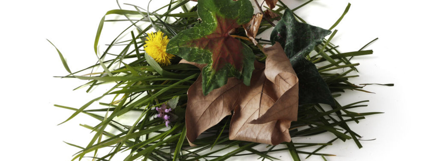 Tontes de gazon, feuilles mortes et végétaux mélangés formant un tas de déchets verts compostables