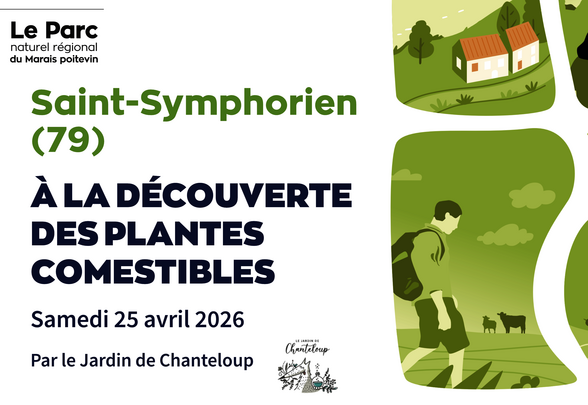 Affiche du Parc naturel régional du Marais poitevin illustrée de scènes de randonnée en milieu naturel, organisée par le Jardin de Chanteloup - Agrandir l'image, fenêtre modale