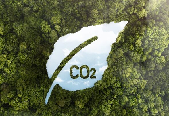 Canopée forestière avec une découpe en forme de feuille révélant un ciel bleu et l'inscription CO2 - Agrandir l'image, fenêtre modale