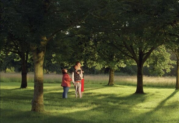 Deux adolescents debout dans un parc arboré et ensoleillé, les yeux levés vers la canopée - Agrandir l'image, fenêtre modale