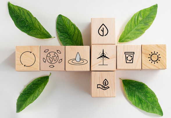 Cubes en bois gravés d'icônes environnementales — recyclage, éolienne, goutte d'eau, soleil, planète — entourés de feuilles vertes - Agrandir l'image, fenêtre modale