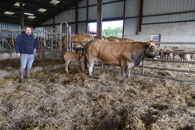 Mathieu Breillat éleveur de parthenaise à Coulon présente sa vache et son veau pour la présélection du Salon de l'Agriculture. EARL Breillat - vaches parthenaises
