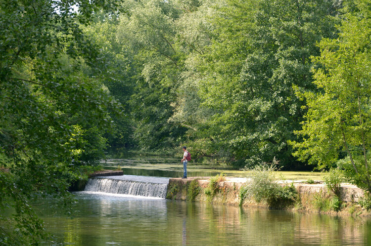 Partie de pêche dans la vallée de la Sèvre niortaise
