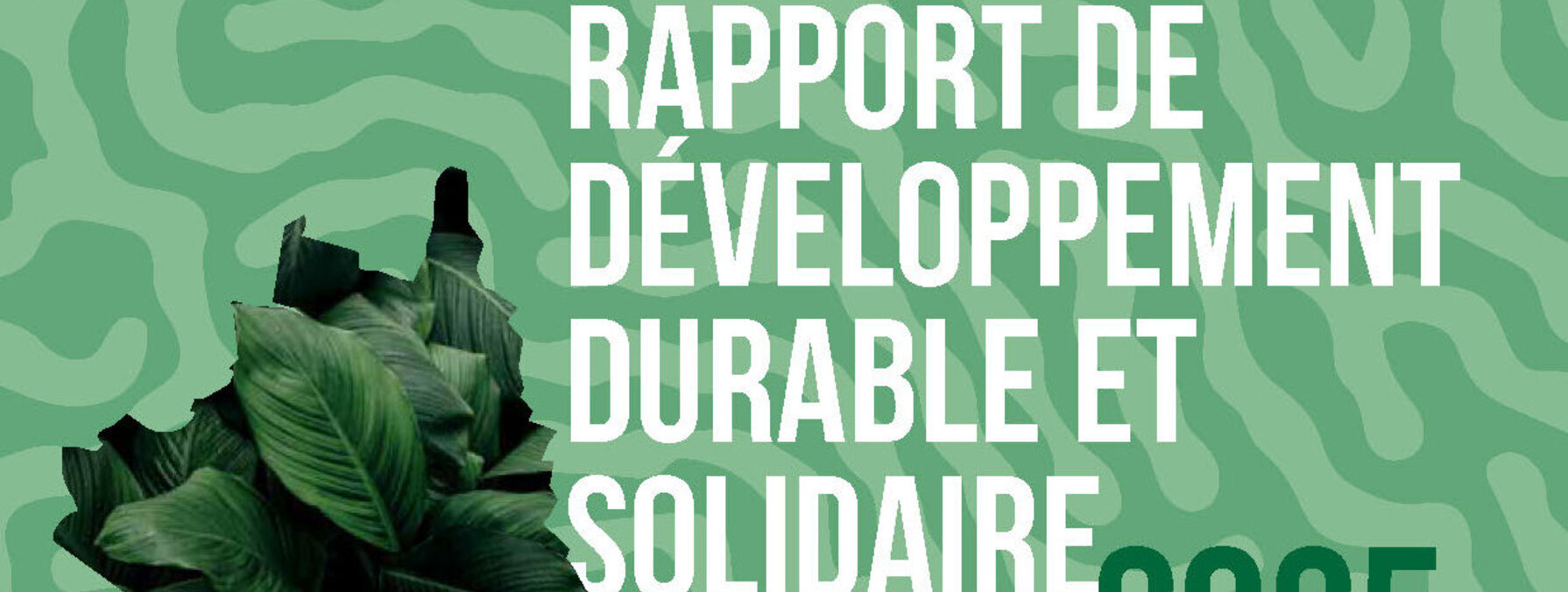 Couverture du Rapport de Développement Durable et Solidaire 2025 de Niort Agglo – Pour un territoire durable