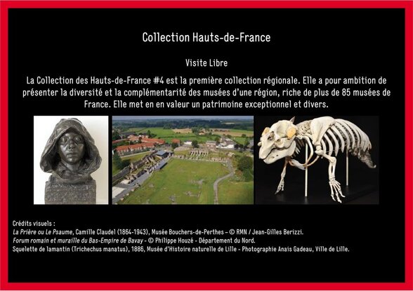 Affiche Collection Hauts-de-France #4 : sculpture de Camille Claudel, forum romain de Bavay et squelette de lamantin - Agrandir l'image, fenêtre modale