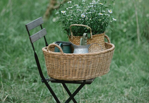 Panier en osier garni de marguerites en pot et d'un arrosoir, posé sur une chaise pliante au milieu d'un jardin - Agrandir l'image, fenêtre modale