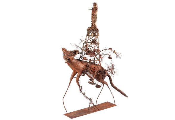  - Agrandir l'image, fenêtre modale