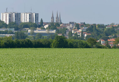 Paysage de plaine entre Niort, Echiré et Saint-Maxire