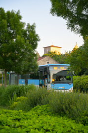Bus tanlib ligne 22 direction Niort circulant à Magné, entouré de végétation luxuriante, avec un clocher en arrière-plan