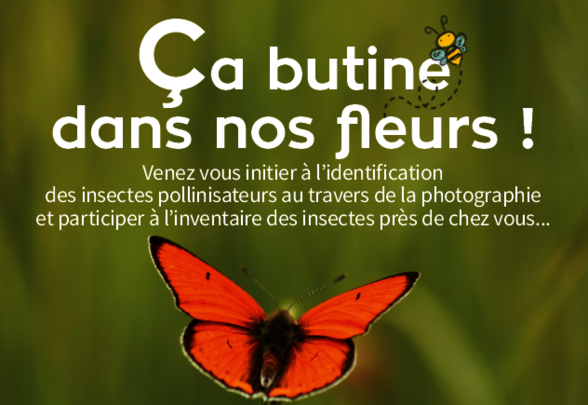Affiche de la sortie du 17 septembre 2025, 14h-17h, Parc de la Villa Pichonnerie à Magné - Agrandir l'image, fenêtre modale