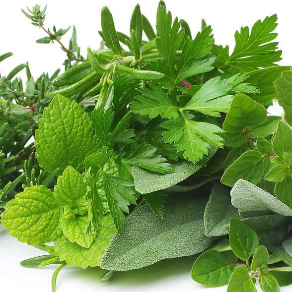  - Agrandir l'image, fenêtre modale