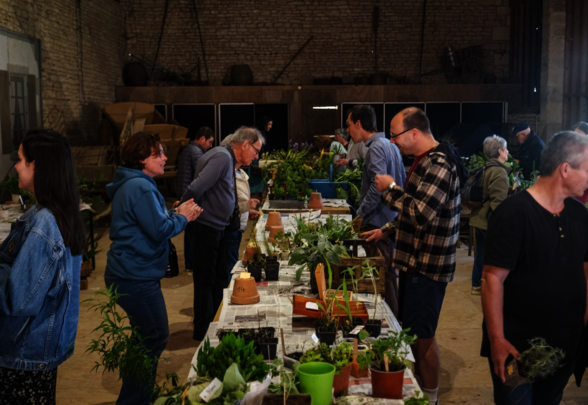 Participants rassemblés autour de tables couvertes de plantes, boutures et semis dans un vaste bâtiment en pierre - Agrandir l'image, fenêtre modale