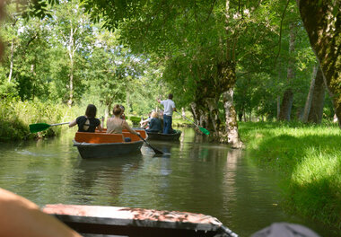 Promenade en barque sur la Sèvre niortaise à Coulon © Darri