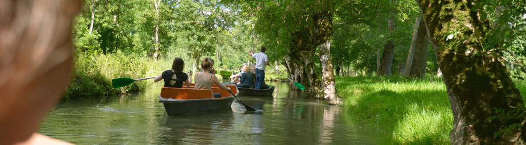 Promenade en barque sur la Sèvre niortaise à Coulon © Darri