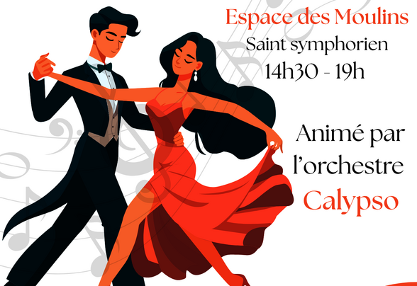 Affiche : 15 mars 2026, Espace des Moulins Saint-Symphorien, 14h30-19h, portes 13h30, Comité des fêtes 79 - Agrandir l'image, fenêtre modale