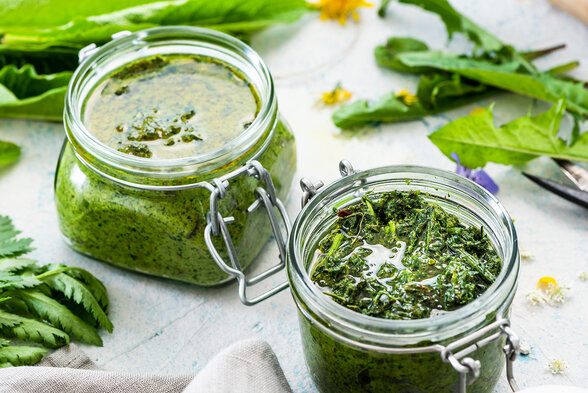 Plantes cuisinées - Agrandir l'image, fenêtre modale