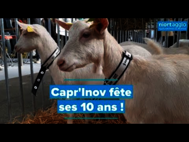 Capr'Inov fête ses 10 ans !