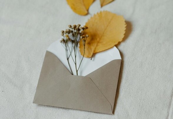 Feuilles d'automne dorées et fleurs séchées s'échappant d'une enveloppe kraft, composition artistique avec éléments naturels récoltés - Agrandir l'image, fenêtre modale